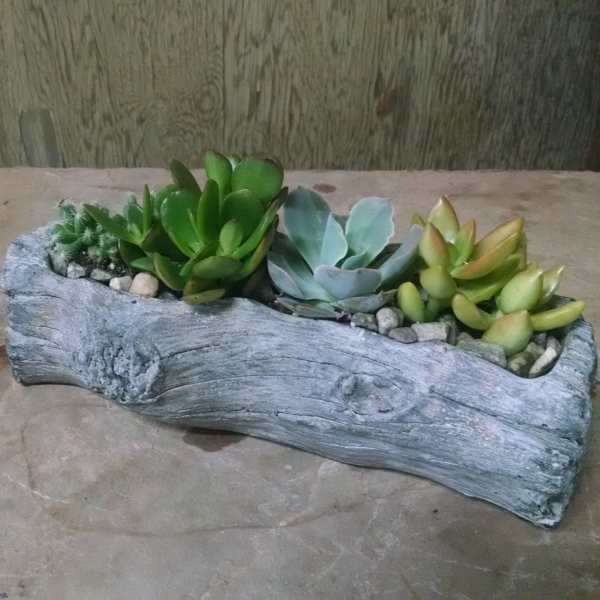 Succulent arrangement in a faux wood planter beside a clear glass votive holder
