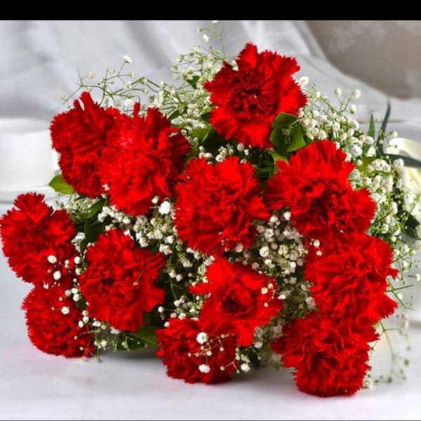 Bouquet of red carnations with white baby's breath