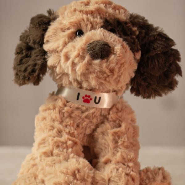 Plush puppy with a collar that says I love you