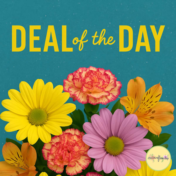 Colorful flowers under the words "Deal of the Day" on a blue background.