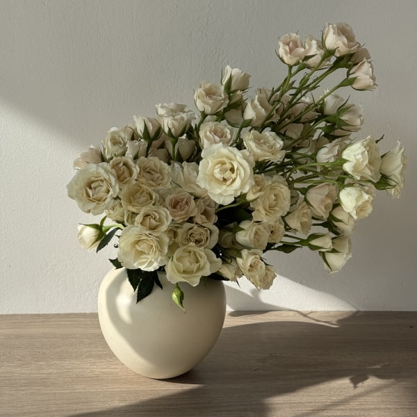 Cream roses arranged in a round beige vase