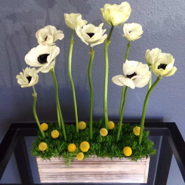 White anemones in a rectangular planter with moss and yellow accents