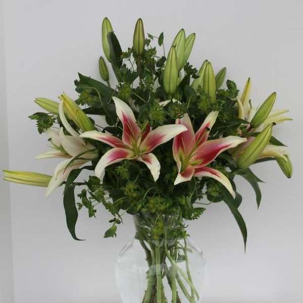 Tall arrangement of pink and white lilies with many buds in a clear glass vase
