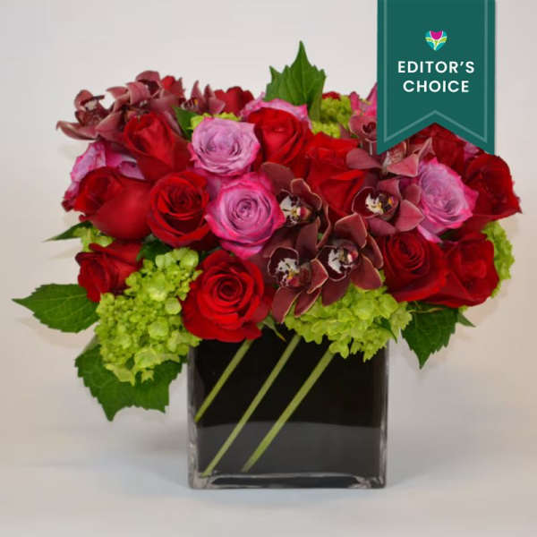 True Love - Editor's Choice