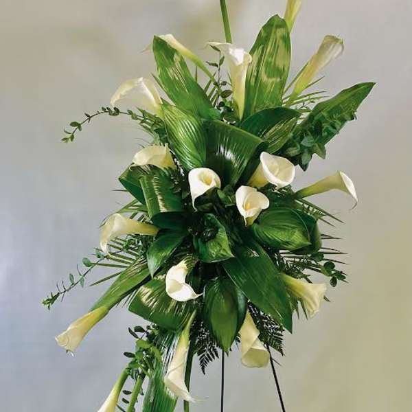 Tall arrangement of white calla lilies on a black stand