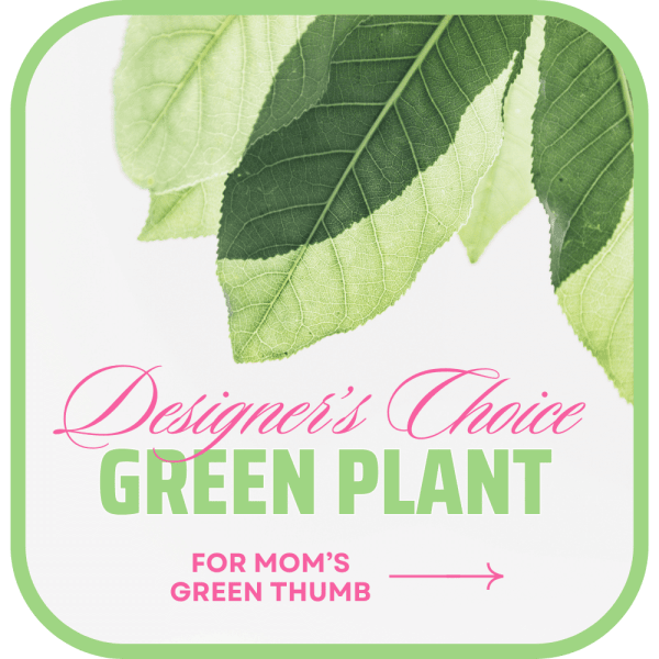 Green plant gift card with leaf graphics and pink text