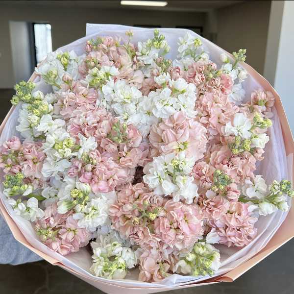Bouquet of pale pink and white clustered flowers wrapped in blush paper