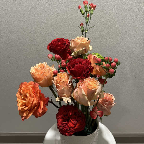 Peach and Red Garden Roses