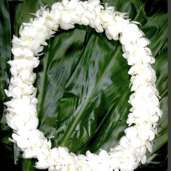 White flower lei on a bed of dark green leaves