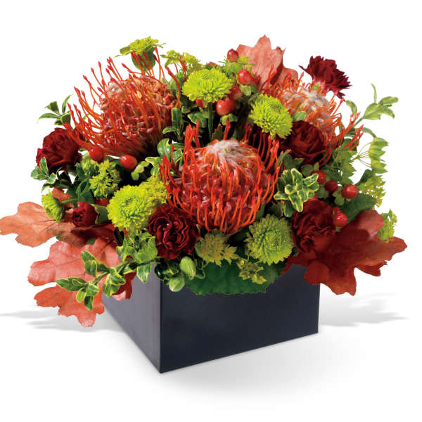 Autumn floral arrangement in a black square container with red and green blooms