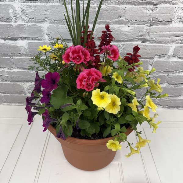 Outdoor Patio Pot -plants may vary