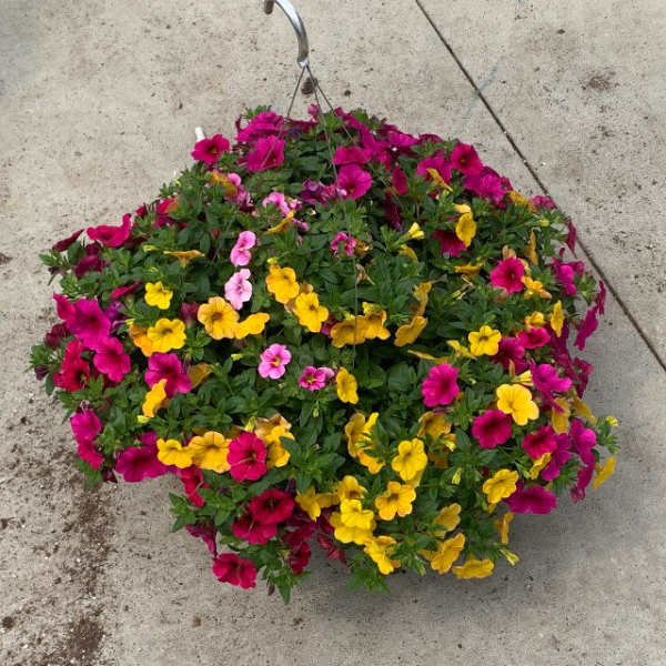 Large Outdoor Hanging Basket