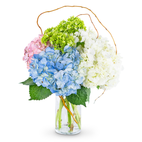 Bouquet of blue, white, pink, and green hydrangeas in a glass vase