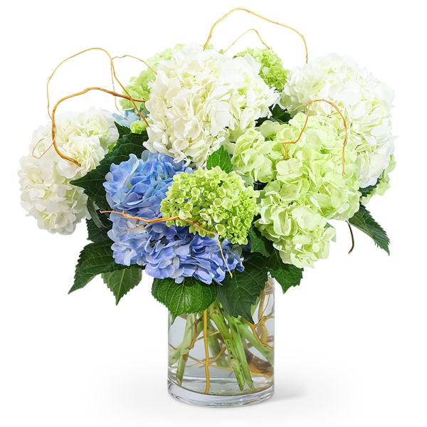 Hydrangea bouquet in a clear glass vase with curly branches