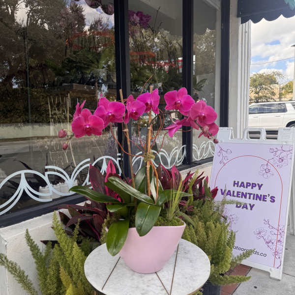 Pink orchid arrangement in a pastel vase beside a Valentine’s Day sign