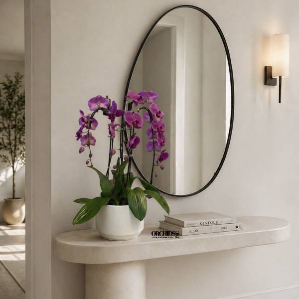 Purple orchids in a white pot on a stone console table