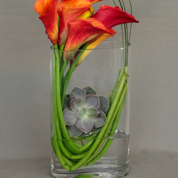 Calla lilies and a succulent in a clear glass vase