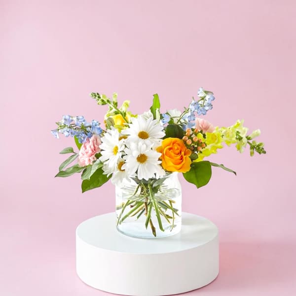 Amanda's Favorites 5