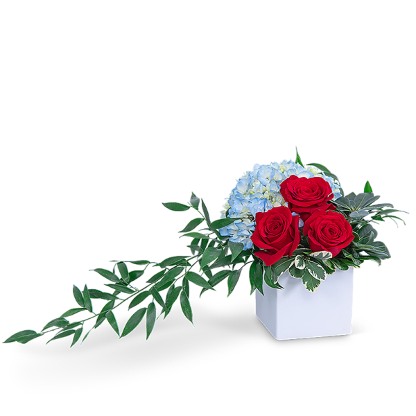 Red roses and blue hydrangeas in a white square vase