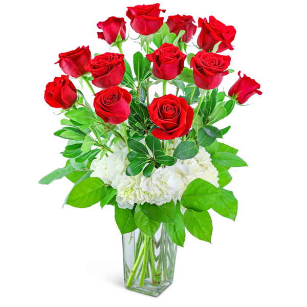 Red roses arranged in a clear glass vase with white hydrangeas