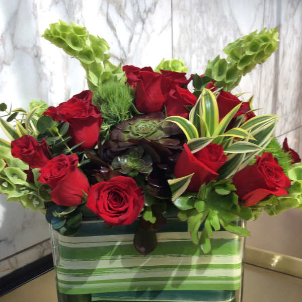 Red roses in a square glass vase with green succulents