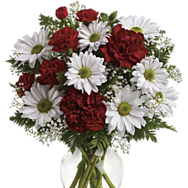 Red carnations and white daisies in a clear glass vase