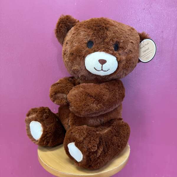 Seated Adorable Brown Bear