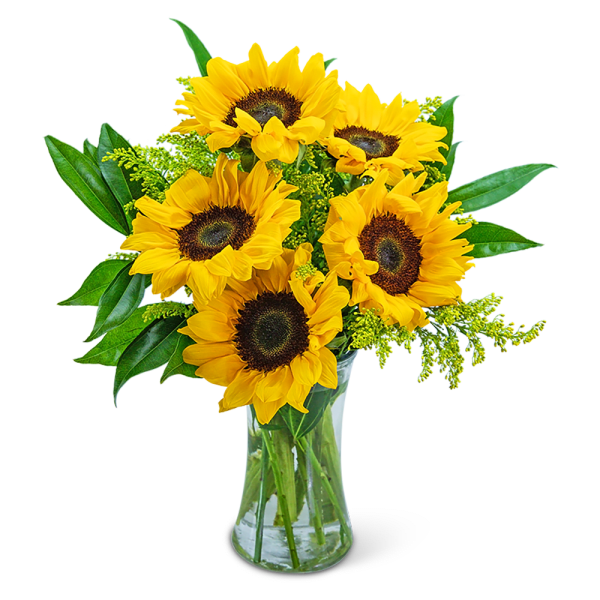 Bouquet of sunflowers in a clear glass vase