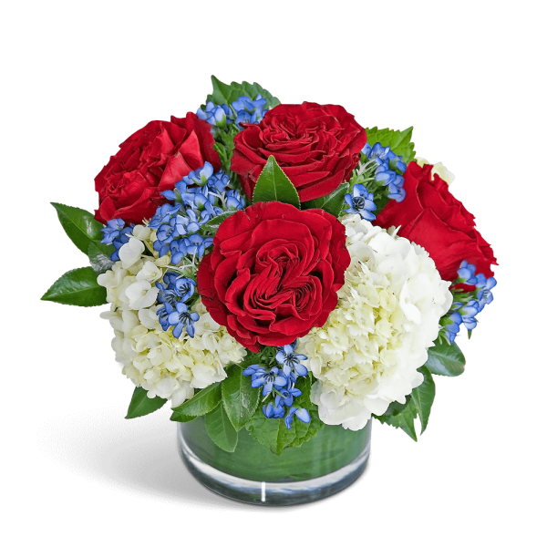 Red roses and white hydrangeas with blue accents in a glass vase