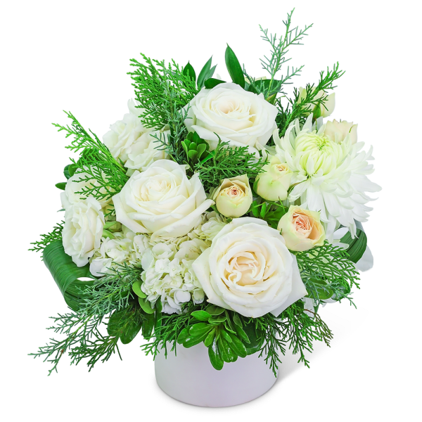 White roses and chrysanthemums in a white vase with green foliage
