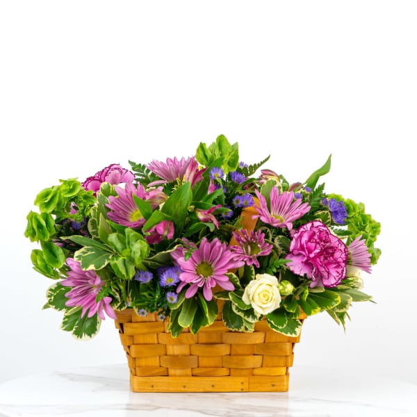 Low basket of pink daisies, purple blooms, green bells of Ireland and a white rose