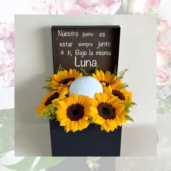 Sunflowers arranged around a white sphere in a black box with Spanish text.