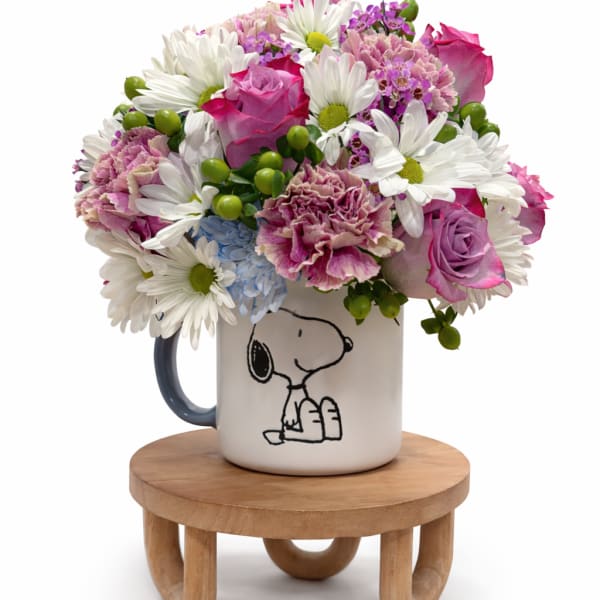 Snoopy’s Sweet Surprise