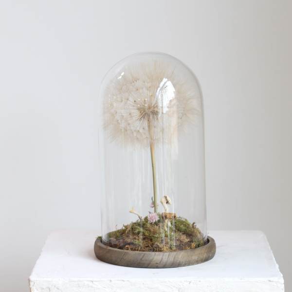 Dried flower under a glass dome on a wooden base