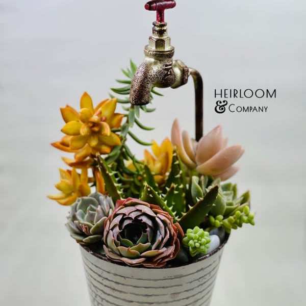 Succulent arrangement in a striped metal pot with a faucet topper