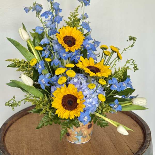 Sunshine and Blue Jeans