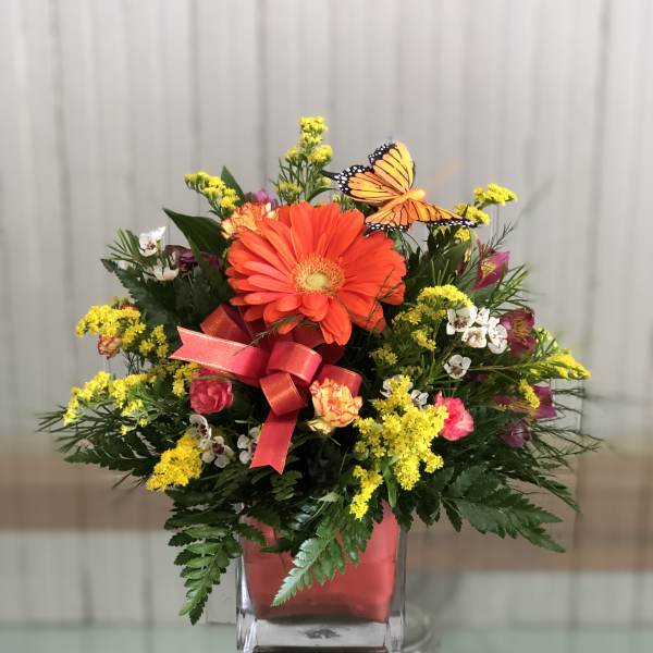 Bright mixed flower arrangement in a square glass vase with a butterfly accent