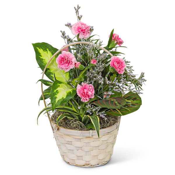 Pink carnations in a woven basket with mixed foliage
