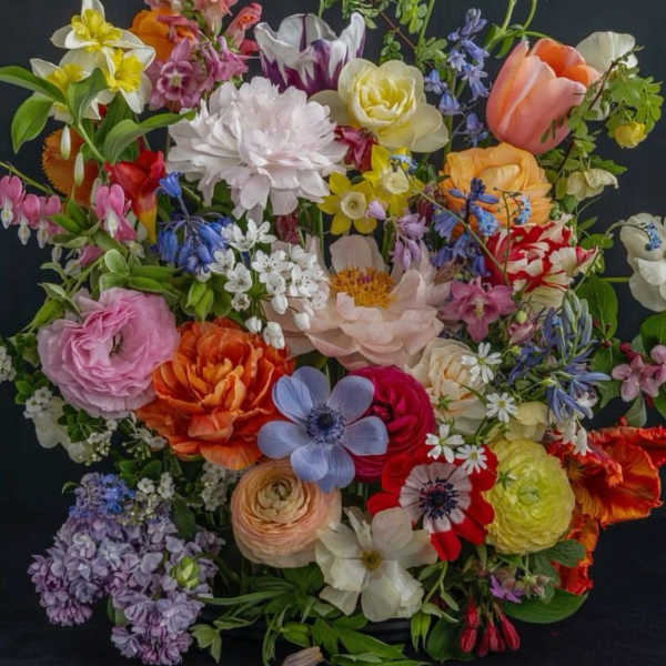 Designer's Choice $500