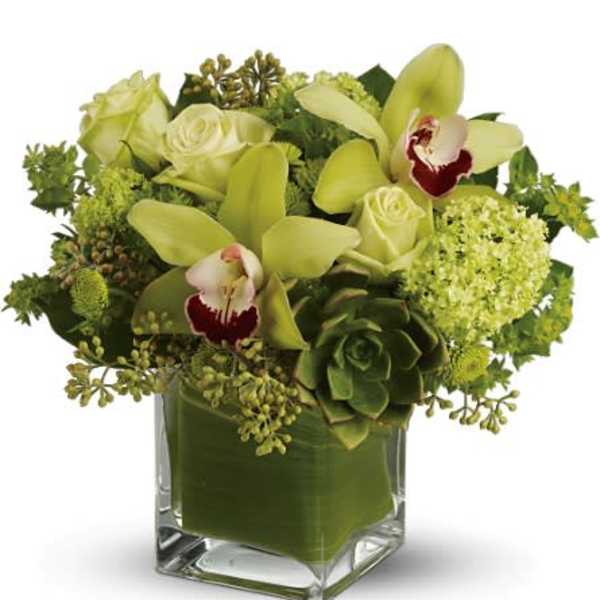 Teleflora's Rainforest Bouquet - Deluxe