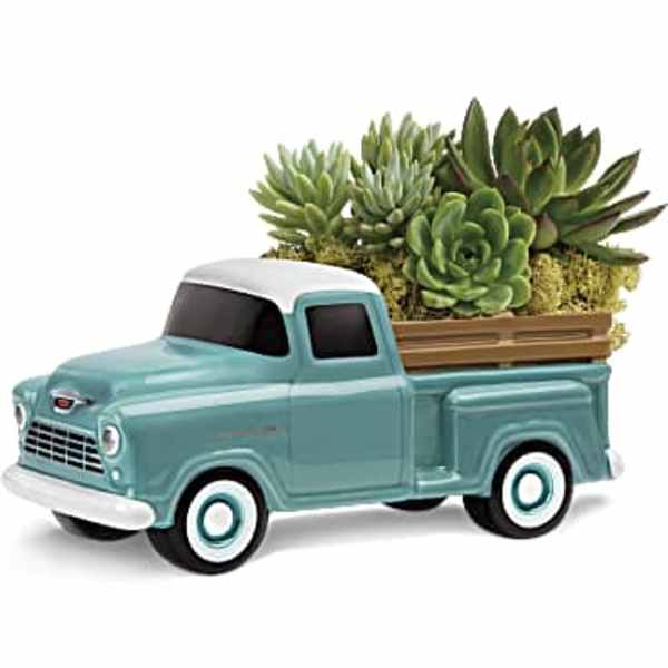 Ceramic pickup truck planter with succulents