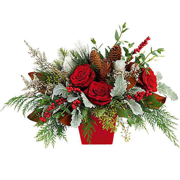Red roses in a red container with pinecones and berries
