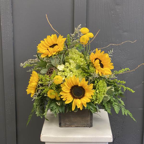 Sunflower arrangement in a wooden box with green accents