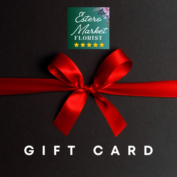 Gift card with a red ribbon bow on a black background