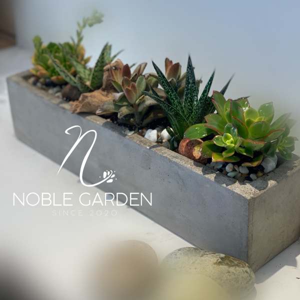 Rectangular concrete planter with assorted succulents and pebbles