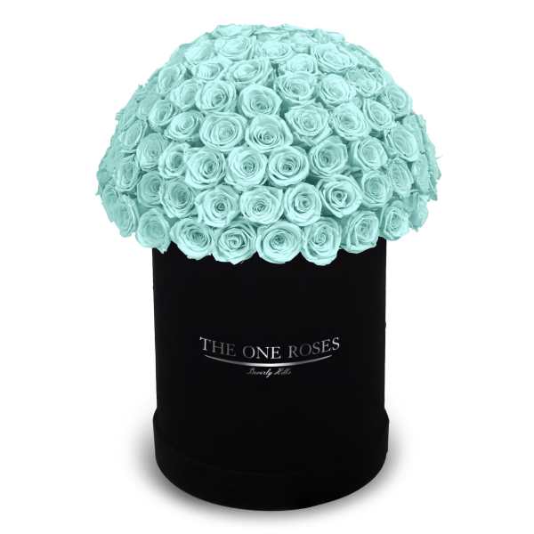 A dome of aqua roses in a black cylindrical box