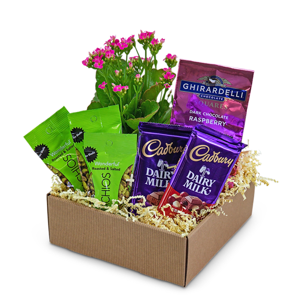 Gift box with a flowering plant and assorted chocolate and nut packages