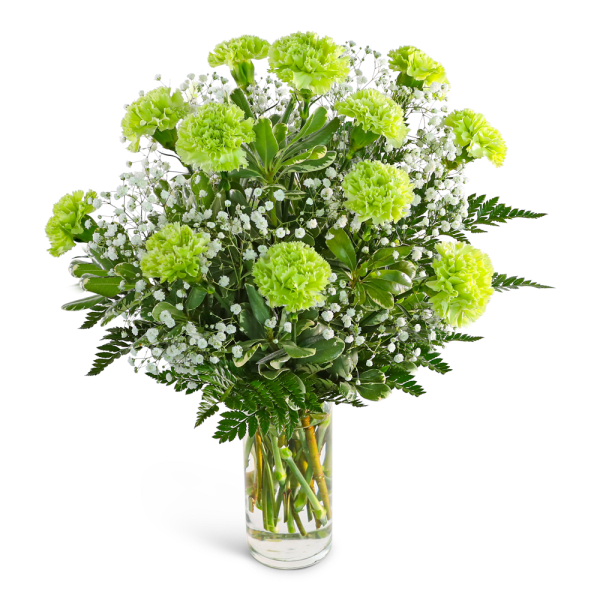 Green carnations and baby's breath in a clear glass vase