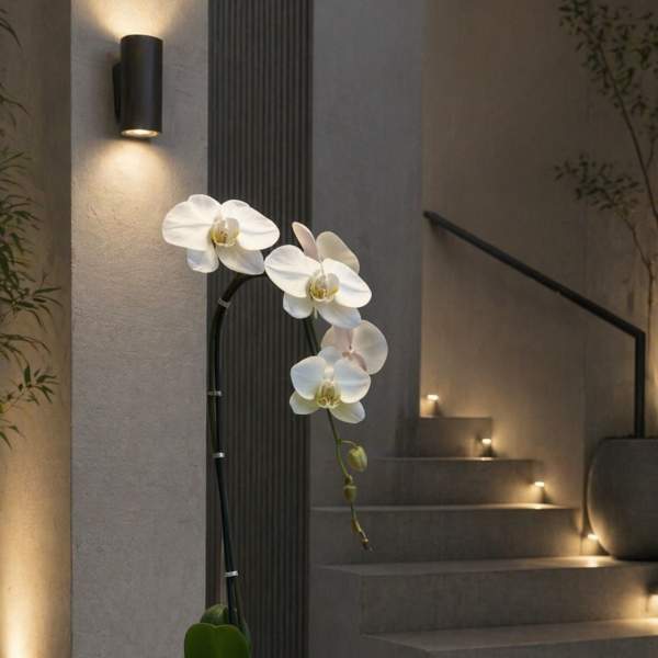 White Phalaenopsis Orchid Arrangement – Elegant Home Décor
