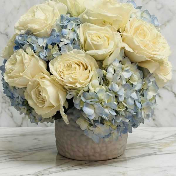 Low arrangement of ivory roses and pale blue hydrangeas in a round ceramic vase
